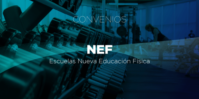 Escuelas NEF